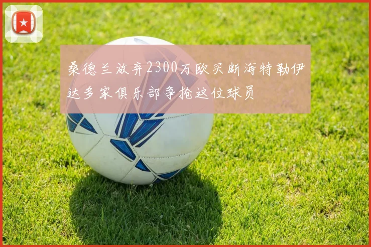 桑德兰放弃2300万欧买断海特勒伊达多家俱乐部争抢这位球员